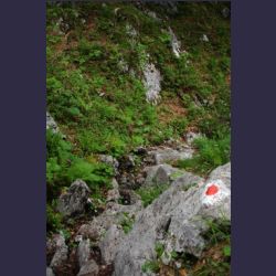 2007-05_10Saletsteig_Sagereck-Steig (003).JPG